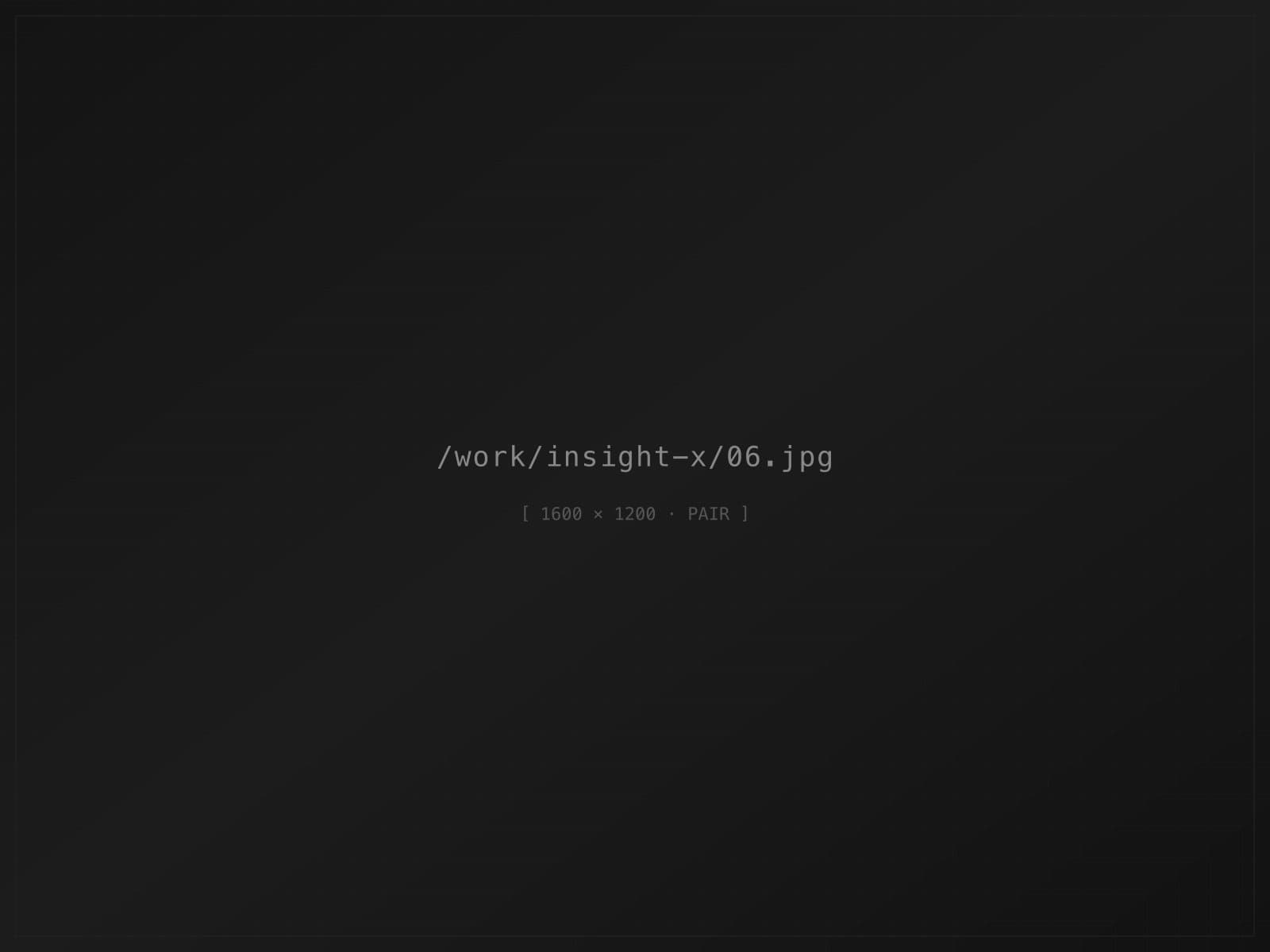 Insight-X Filter Interface