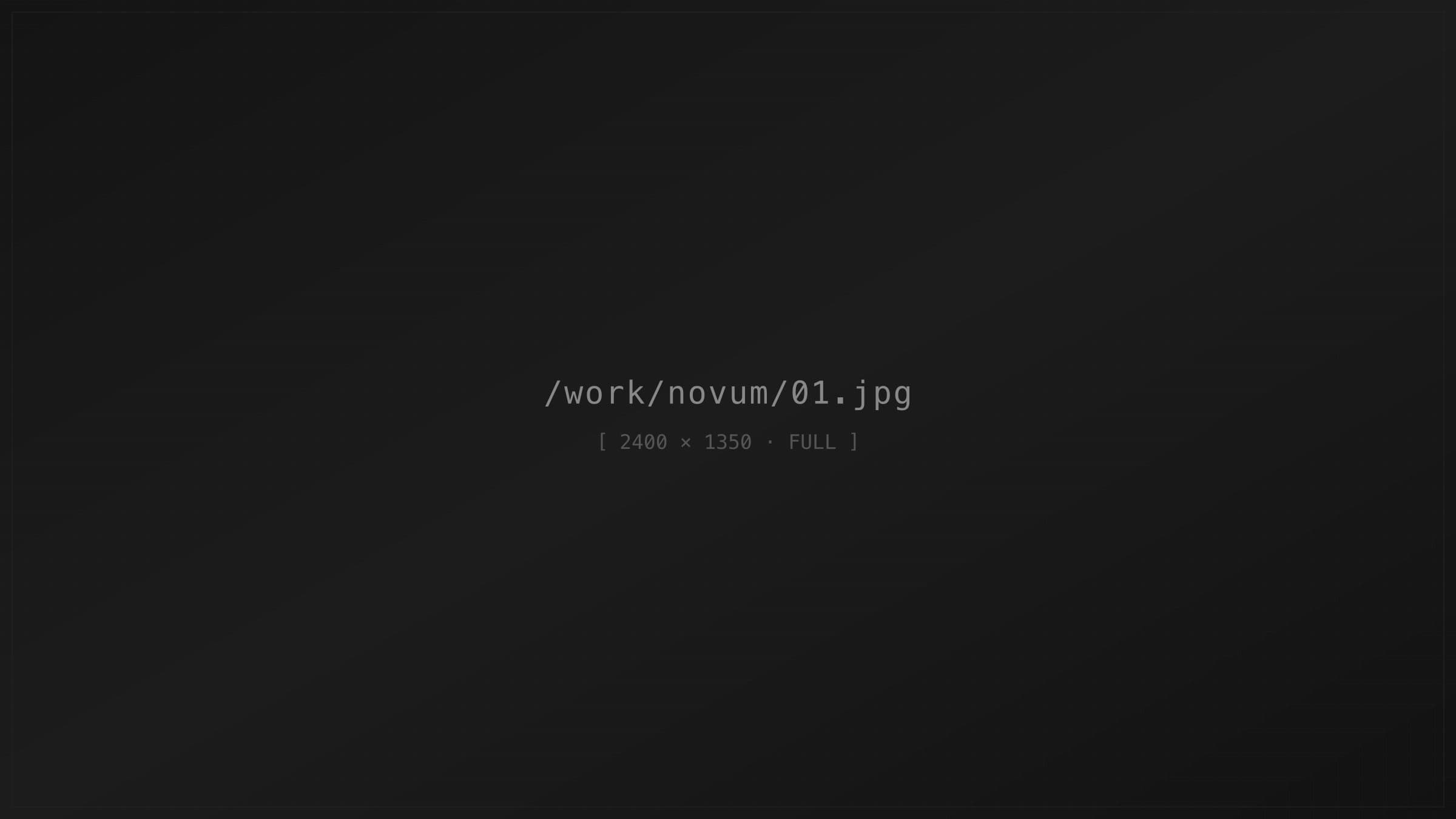 Novum Built World Hero Experience